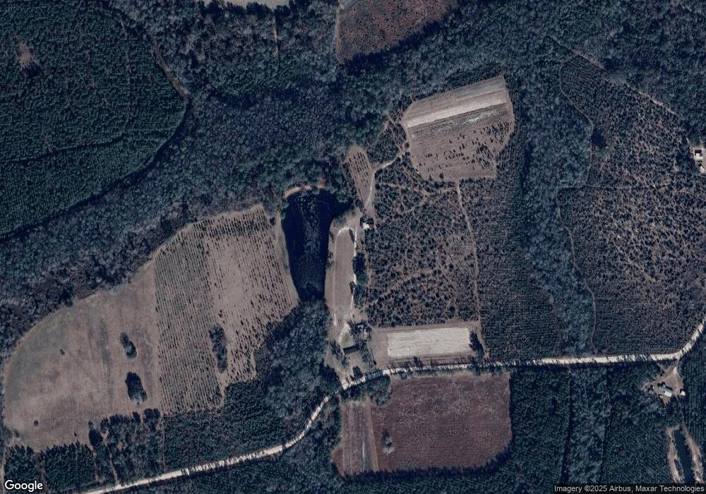 4503 Mattie Shuman Rd, Hoboken, GA 31542 - photo 1