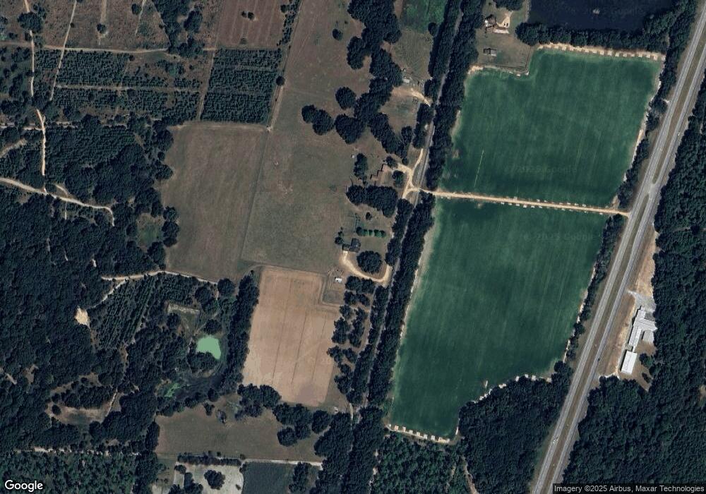 7859 Us Highway 19, Baconton, GA 31716 - photo 1