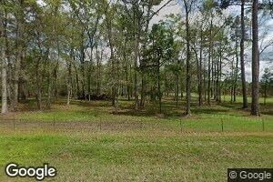 1035 Ulmer Rd, Whigham, GA 39897