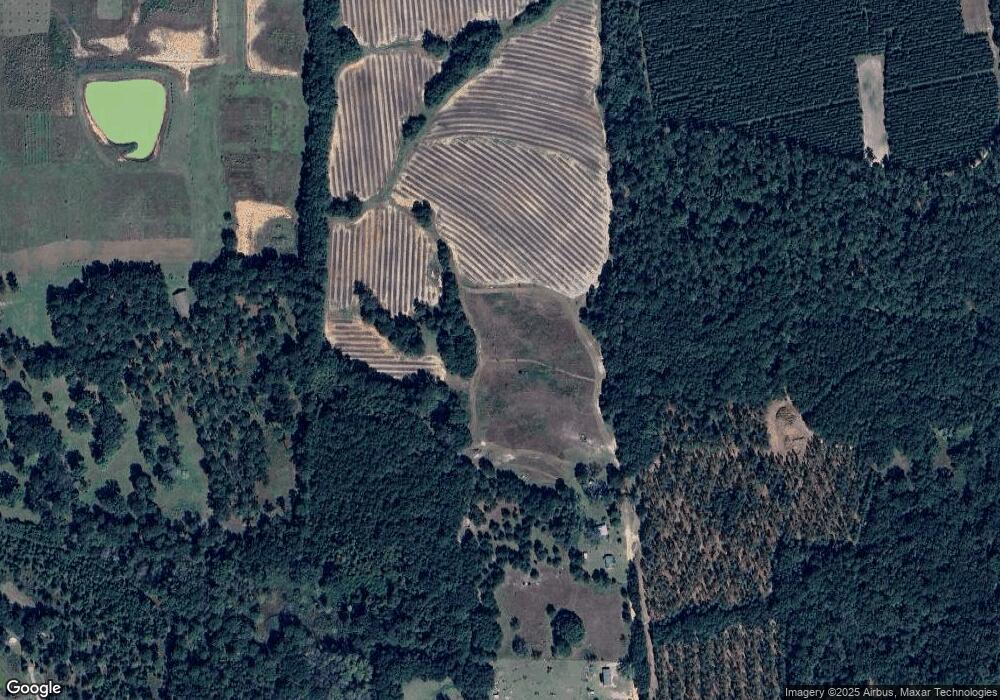 273 Booker Ln, Pavo, GA 31778 - photo 1