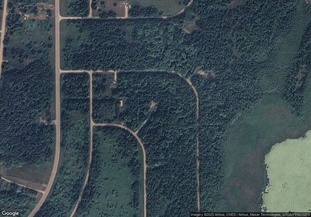 40398 Plum Ct, Browerville, MN 56438 - photo 1