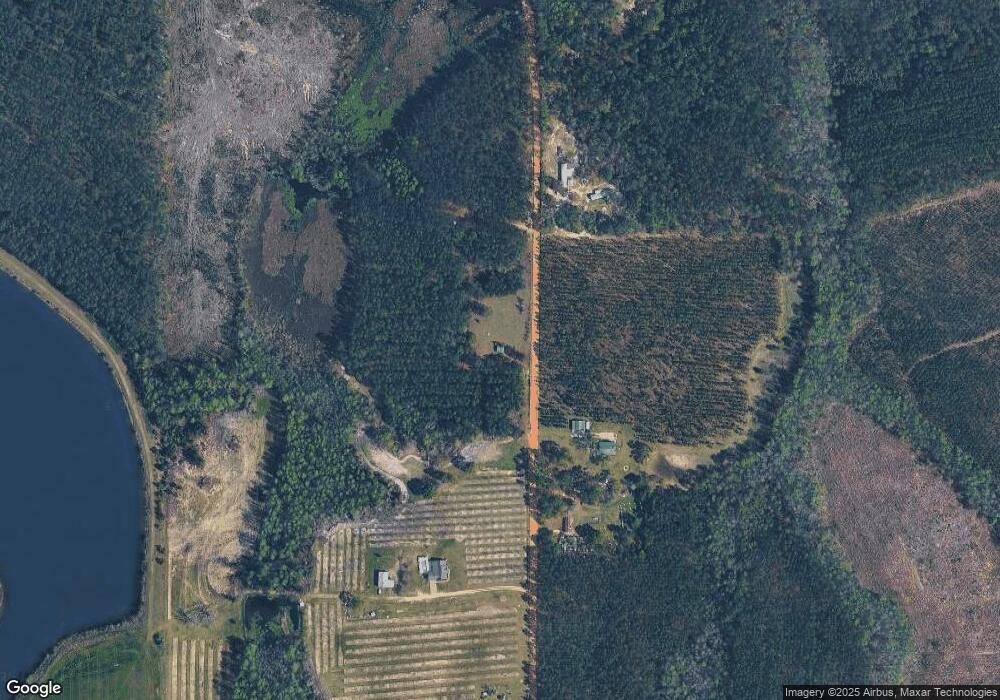 234 Carter Chapel Rd, Mershon, GA 31551 - photo 1