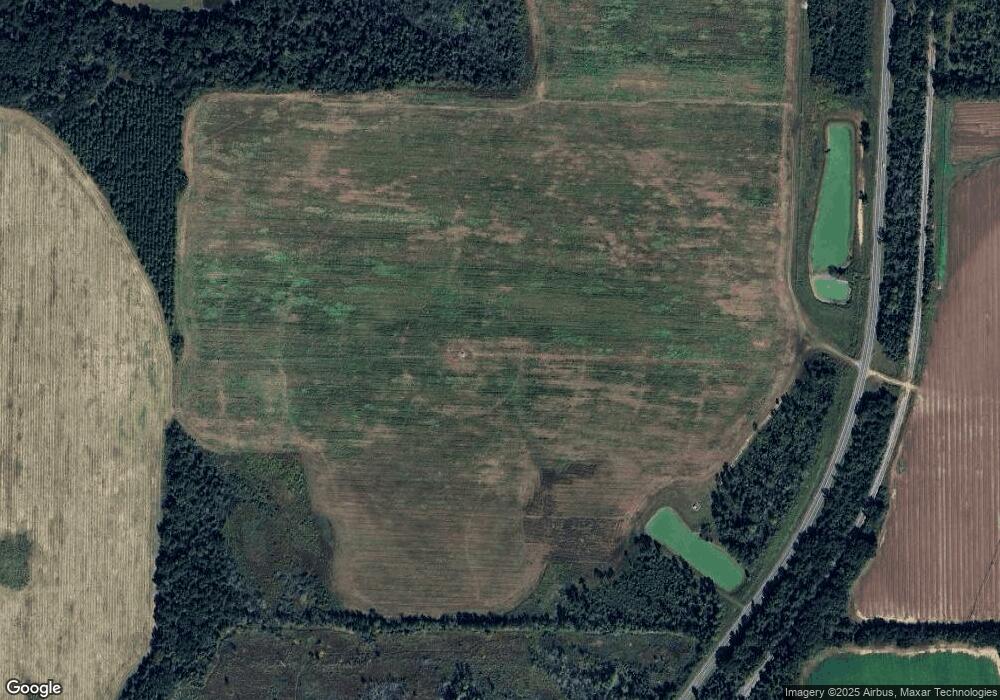 4953 Ga Highway 45, Colquitt, GA 39837 - photo 1