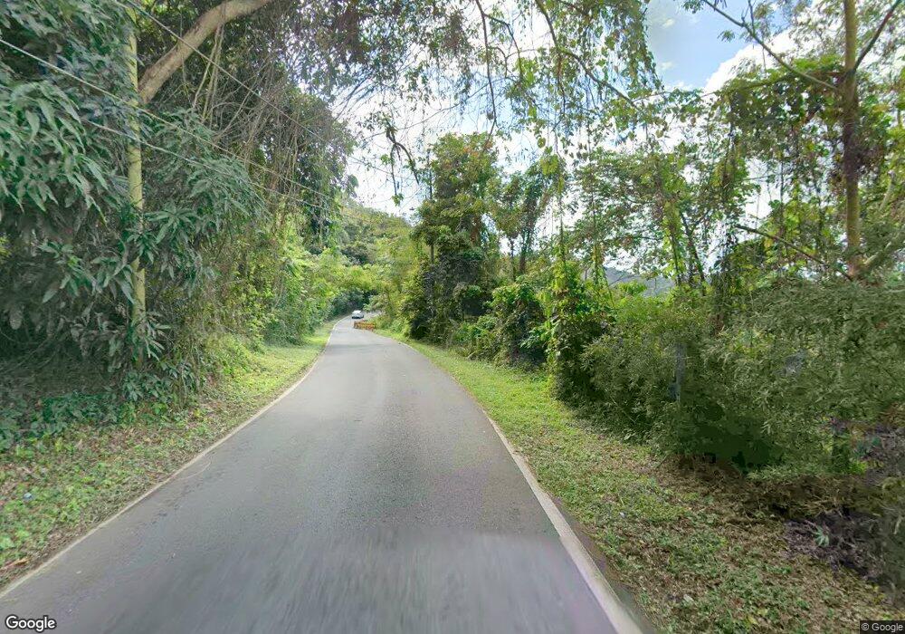 Carr 953 Km 1 H3, Canovanas, PR 00729 - photo 1