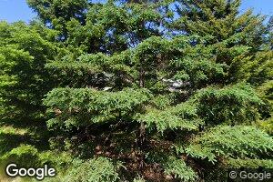 392 Harbor Dr, Bass Harbor, ME 04653