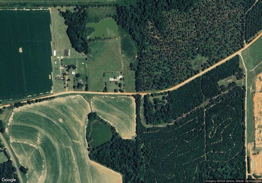 751 Cedar Grove Rd, Climax, GA 39834 - photo 1