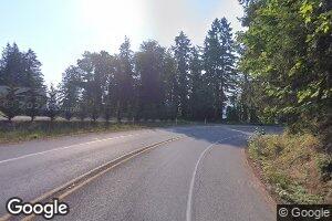 0 State Hwy 7 Unit 7313, Mineral, WA 98355