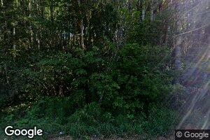 610 Pleasant Valley Rd, Mineral, WA 98355