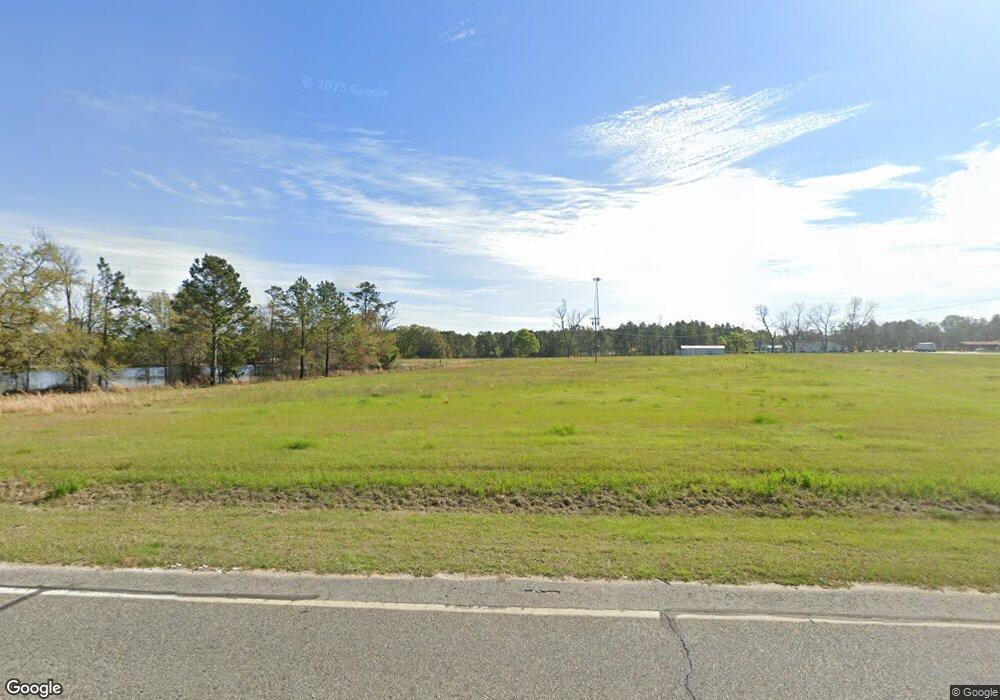 2798 Lax Hwy, Alapaha, GA 31622 - photo 1