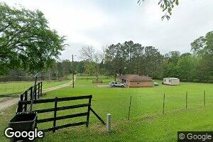 110 Cozette Dr, Fitzpatrick, AL 36029