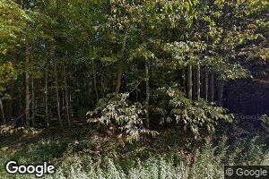 3499 Sunny Ridge Rd, Brutus, MI 49716