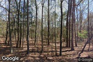 1132 Pet Sites Rd, Chapin, SC 29036