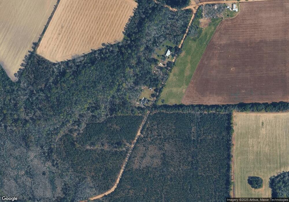 135 Birddog Rd, Mershon, GA 31551 - photo 1