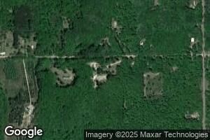 7785 E 48th St, Chase, MI 49623