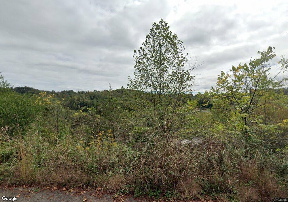 20 Haden Dr, Leicester, NC 28748 - photo 1