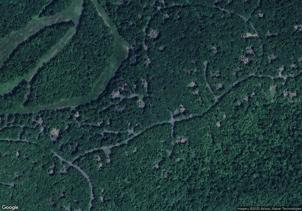 55 N Rock Tree Ln, Wintergreen Resort, VA 22967 - photo 1