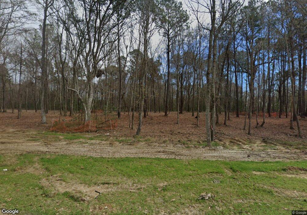 3845 Delinger Dr, Mount Pleasant, SC 29466 - photo 1