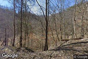 3927 Ridge Line Rd, Raccoon, KY 41557