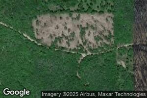 8397 E 72nd St, Chase, MI 49623