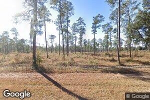 4088 Old Whigham Rd, Climax, GA 39834