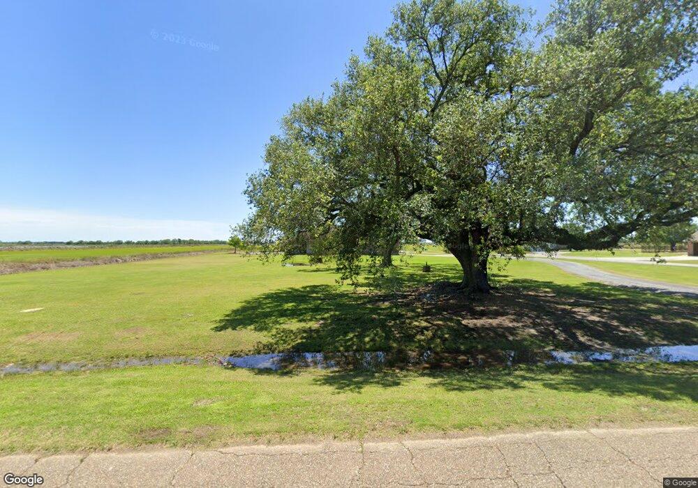 3020 Henry Bieber Rd, Branch, LA 70516 - photo 1