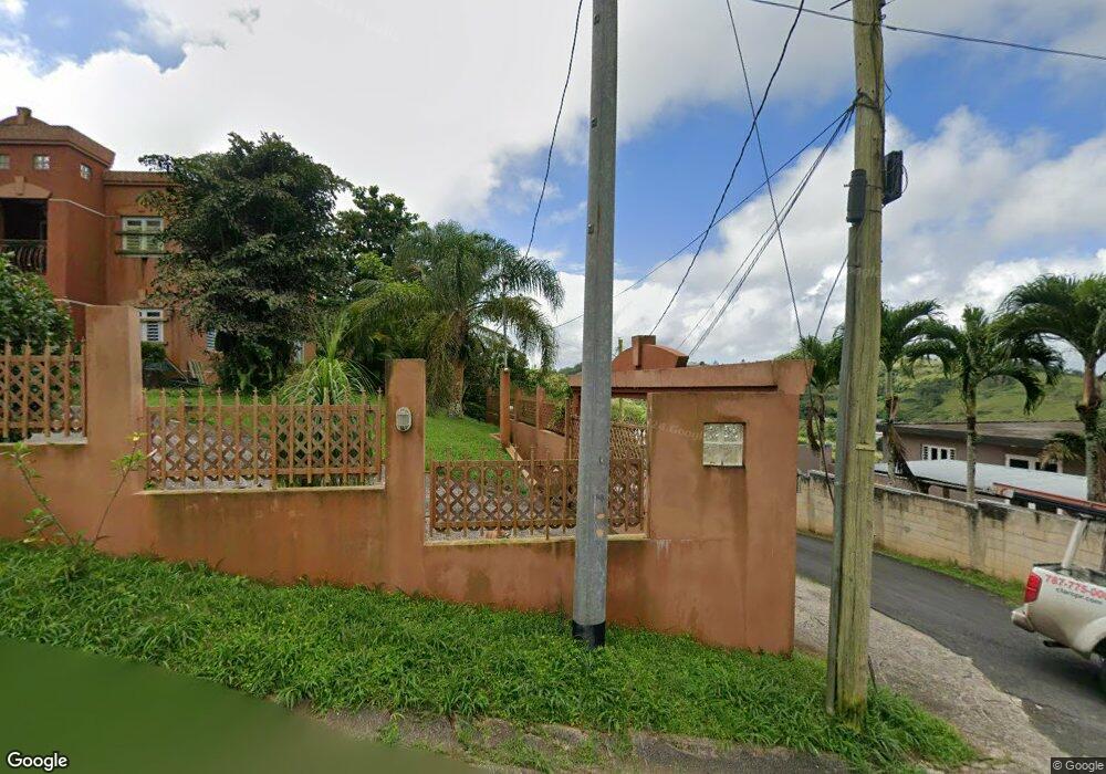 0 Bo Ceiba, Cidra, PR 00739 - photo 1