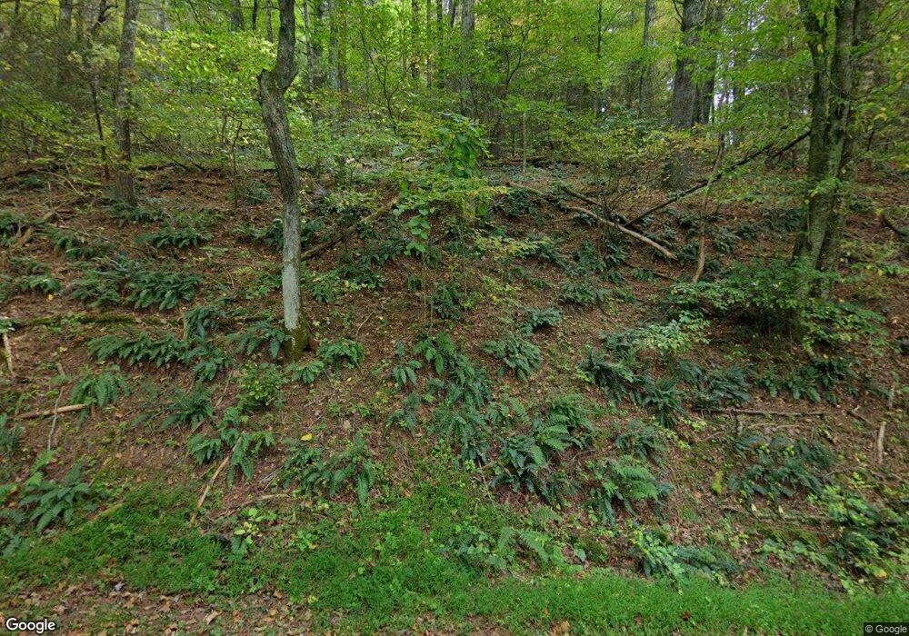 1442 Coffeytown Rd, Vesuvius, VA 24483 - photo 1