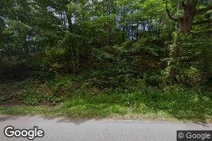 11965 Grapefield Rd, Bastian, VA 24314