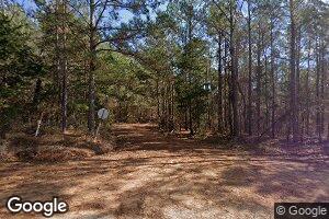 650 Steen Rd, Pine Apple, AL 36768
