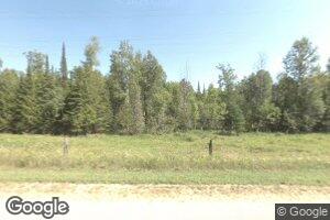 N17454 County Road 551, Wilson, MI 49896
