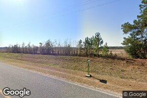 1411 Saint Paul Church Rd, Lumber City, GA 31549