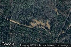 1181 Larkin Rd, Cuba, AL 36907