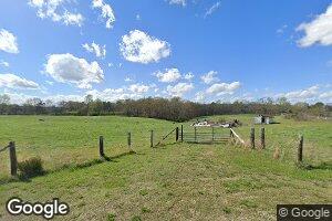 1166 Canyon Rd, Hodges, AL 35571