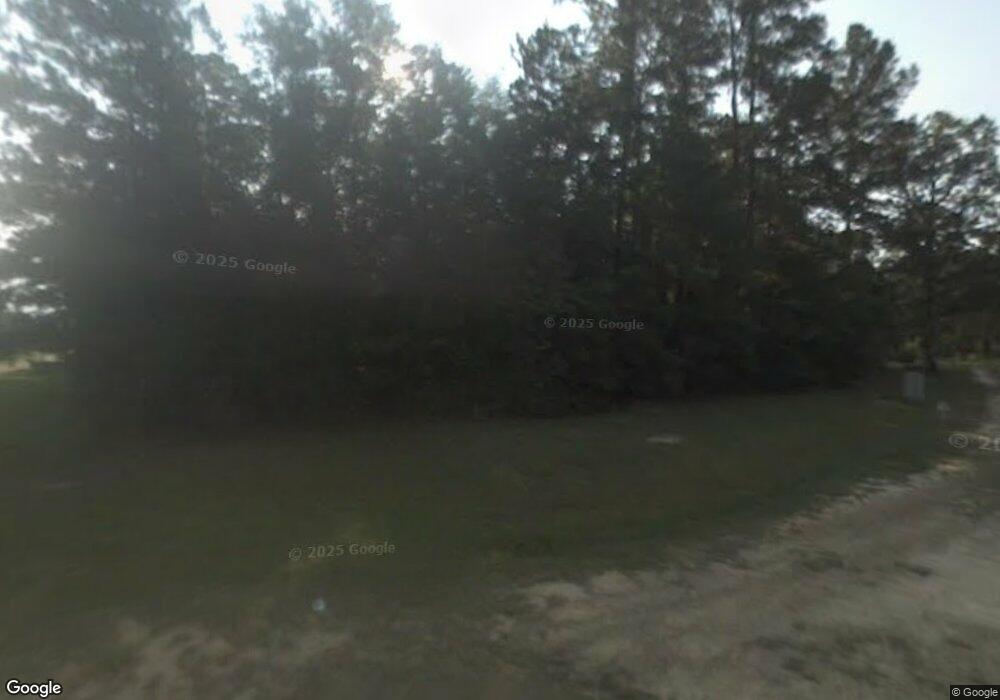 4628 S Old River Rd, Blakely, GA 39823 - photo 1