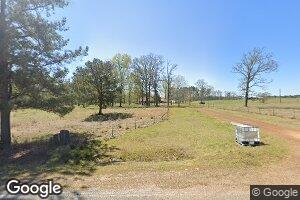 1732 Pleasant Grove Chapparal Rd, Waynesboro, MS 39367