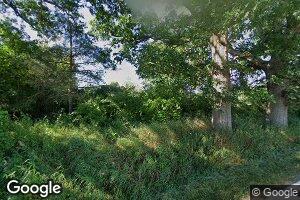1320 E Britton Rd, Morrice, MI 48857