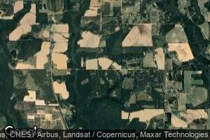 53.32 Acres Bond Rd, Cairo, GA 39827