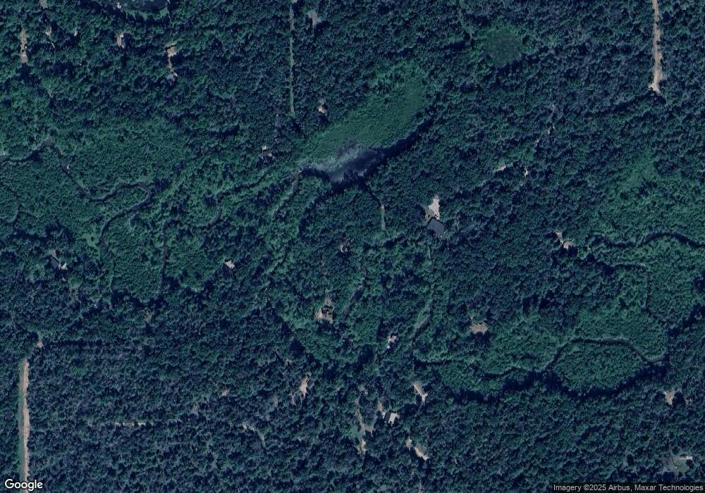 1239 W Crystal Ln, Baldwin, MI 49304 - photo 1