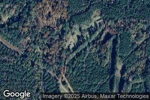 382 Brooks Rd, Dry Prong, LA 71423