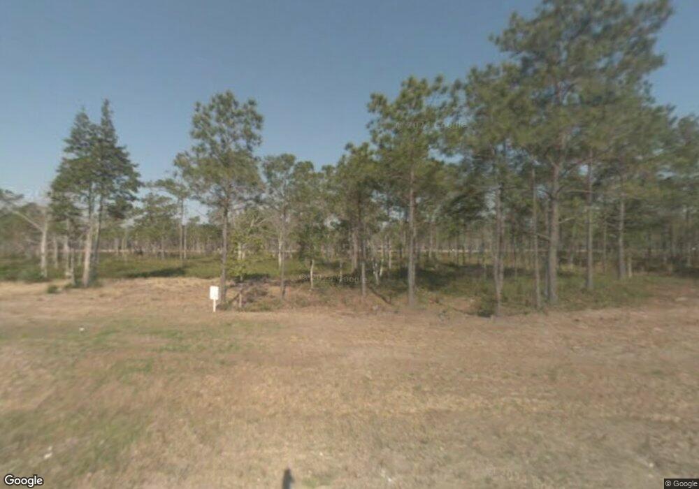 311 E Dolphin View, Sneads Ferry, NC 28460 - photo 1