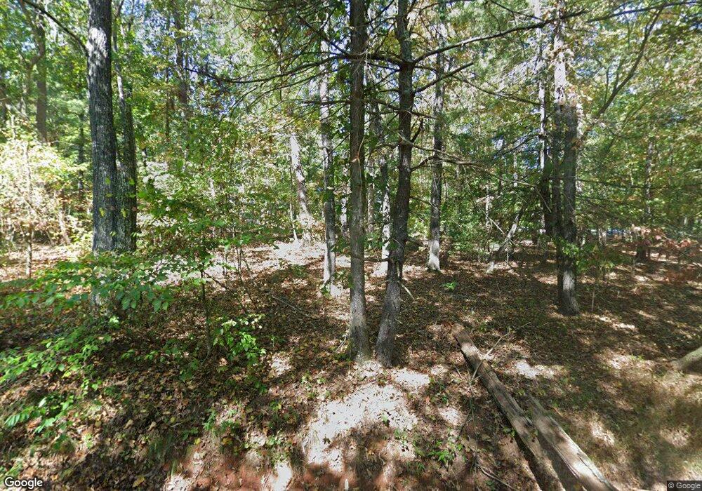 491 McCartan Trail, Clarkesville, GA 30523 - photo 1