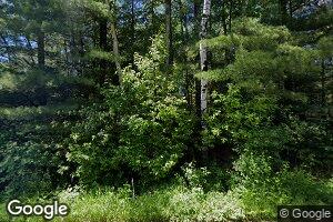 N9338 W Goose Island Rd, Pearson, WI 54462