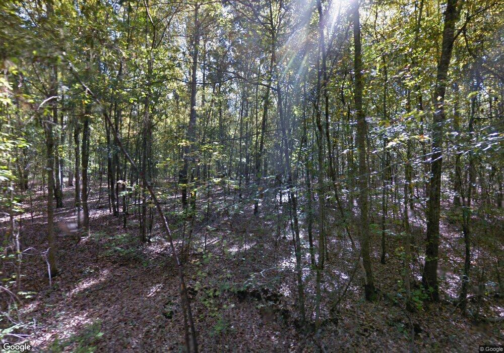 10110 Macon Rd, Midland, GA 31820 - photo 1