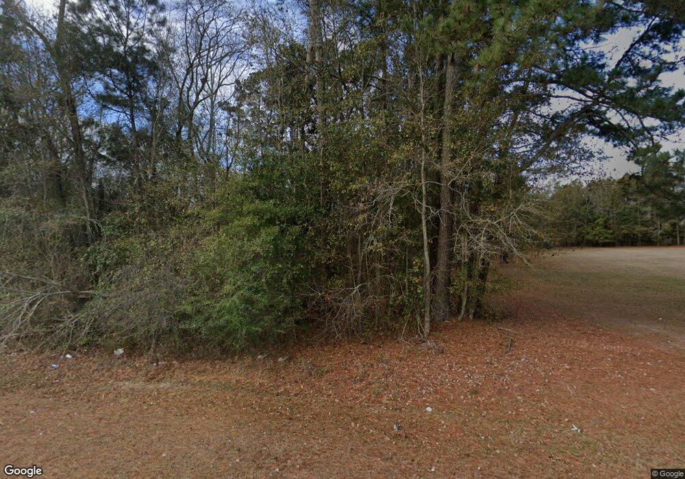 3812 Lake Douglas Rd, Climax, GA 39834 - photo 1