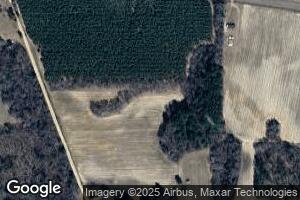 295 Henry Martin Rd, Collins, GA 30421