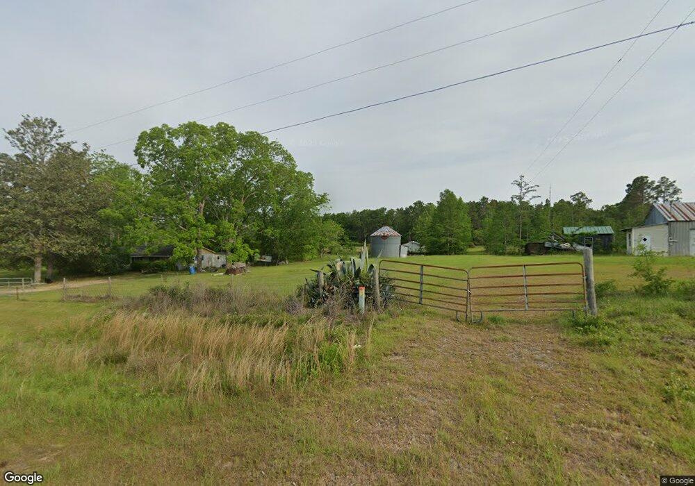 335 Blue Creek Rd W, Douglas, GA 31535 - photo 1