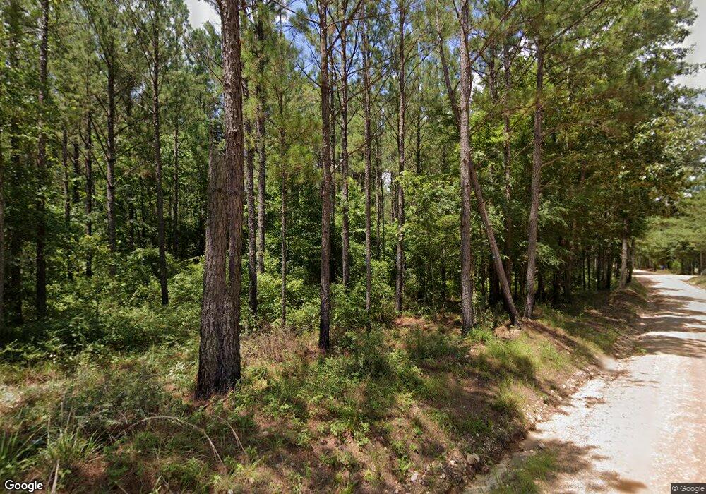 1223 Lee Road 333, Salem, AL 36874 - photo 1