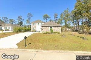 30963 Wild Iris Way, Springfield, LA 70462