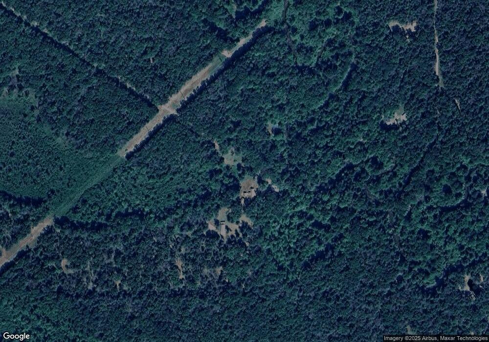 11242 S Tandy Ln, Baldwin, MI 49304 - photo 1