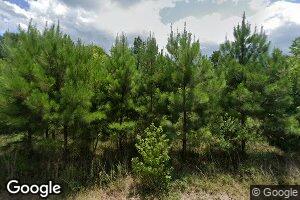 29317 Claiborne St, Springfield, LA 70462